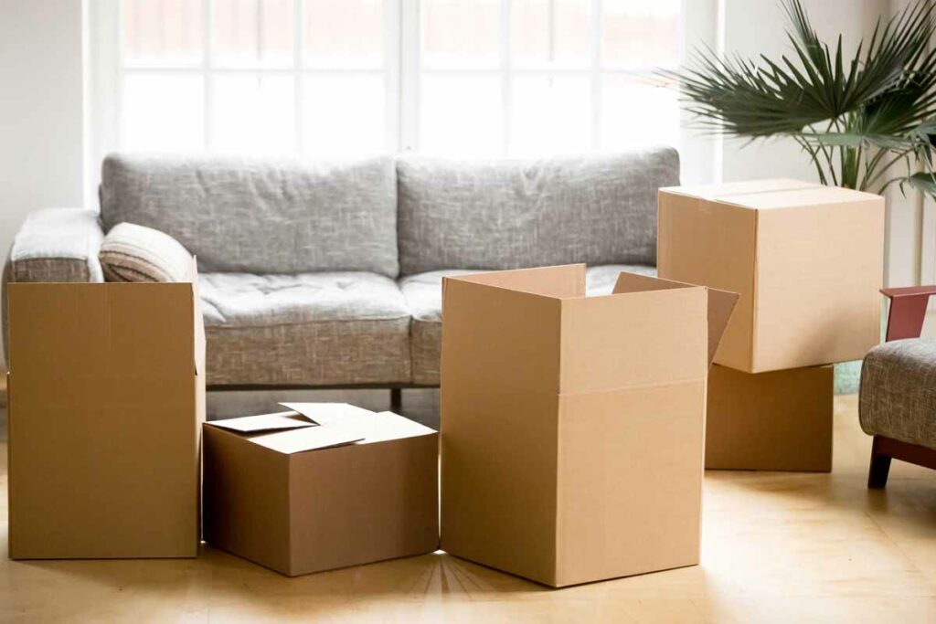 Are Melbourne Removalists Insured for Damages?