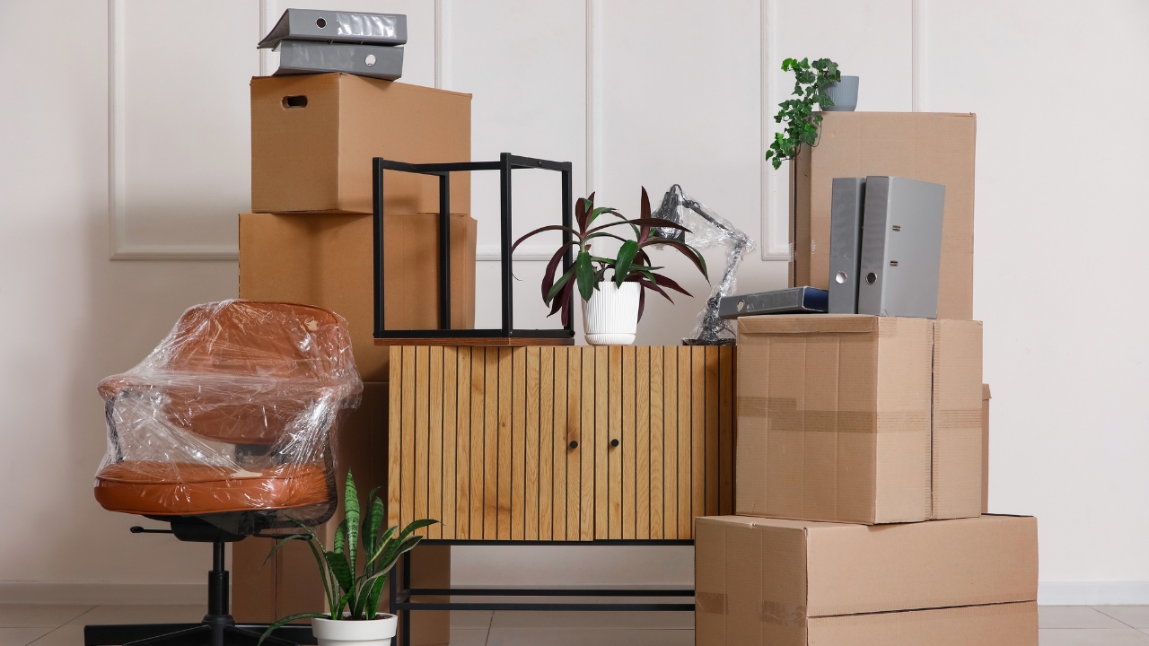 Furniture Removalists